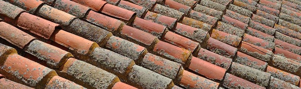 Tuiles de toiture noircies par le champignon noir en Vendée
