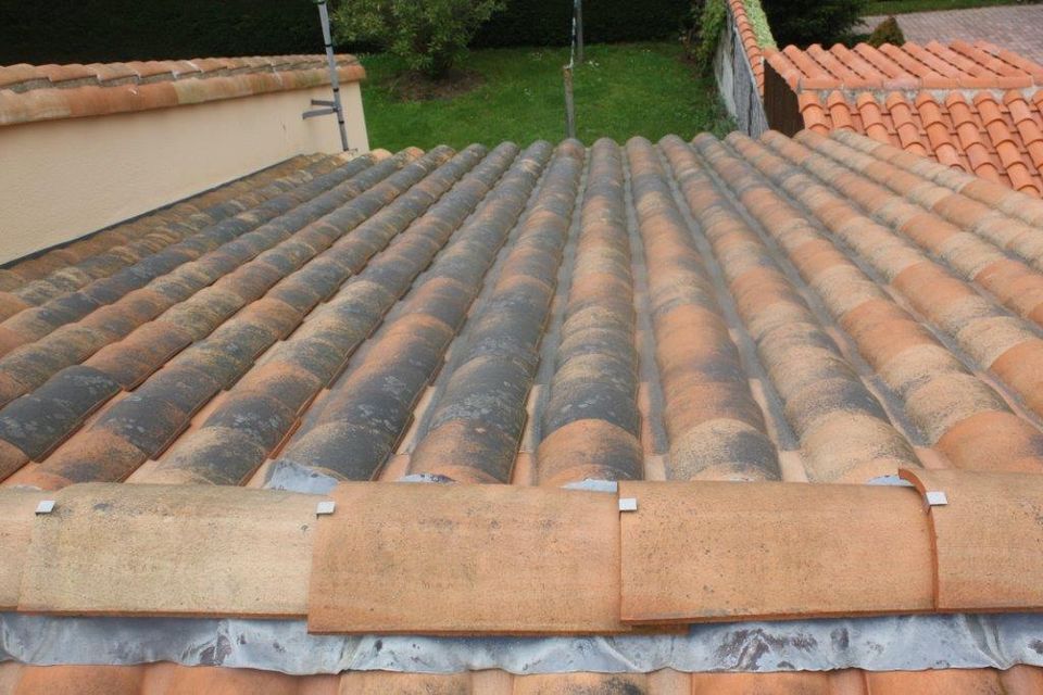 Tuiles couvertes de lichens à Aizenay, avant démoussage
