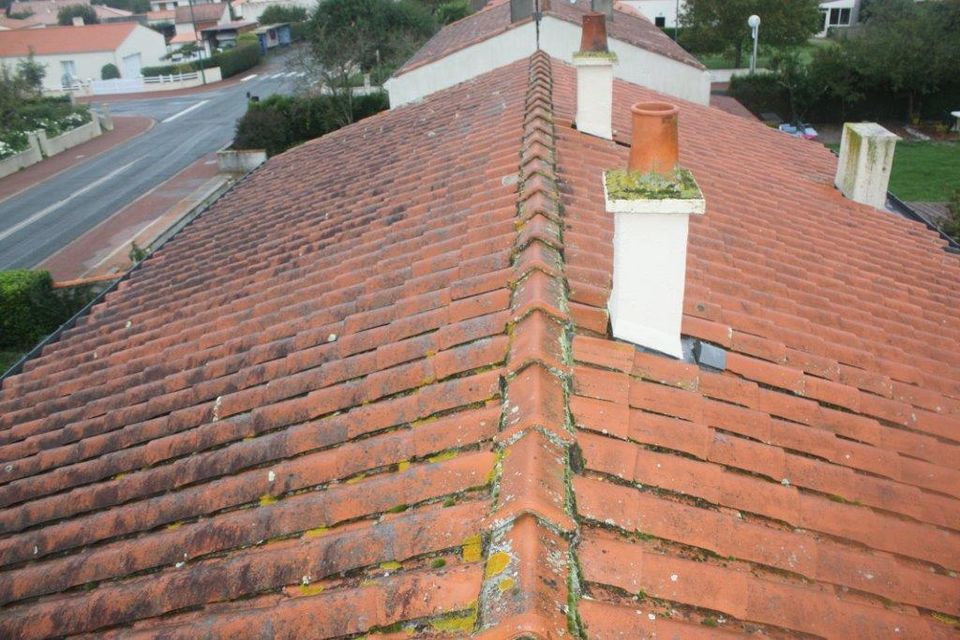 Toiture en tuiles avec mousses et lichens à La Mothe-Achard, avant nettoyage